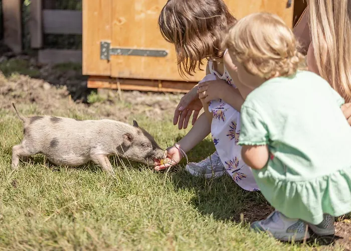 4*s Galtenberg 4* Alpbach